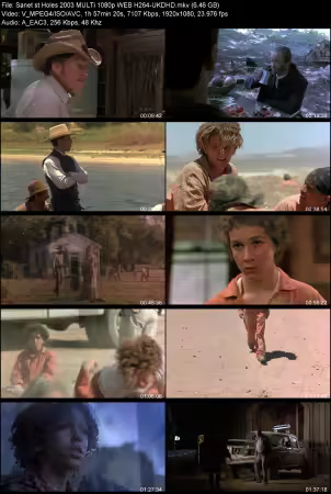 Holes 2003 MULTi 1080p WEB H264-UKDHD
