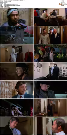 Death Wish II 1982 HDR 2160P UHD BLURAY X265-WATCHABLE