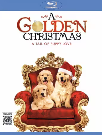 A Golden Christmas 2009 1080p BluRay x265-ZiTO