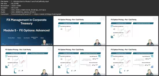 Fx Management In Corporate Treasury - Part 2 - Advanced