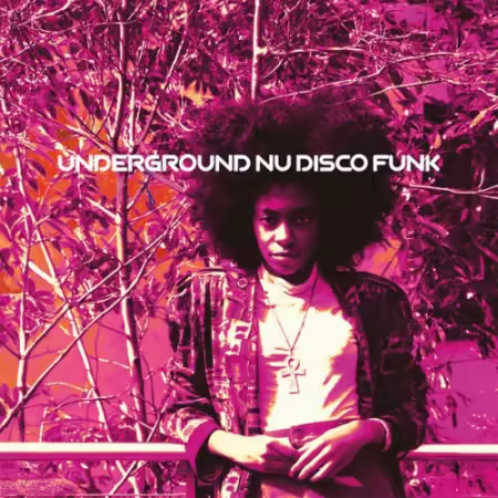VA - Underground Nu Disco Funk (Discovering Hidden Gems) (2025)