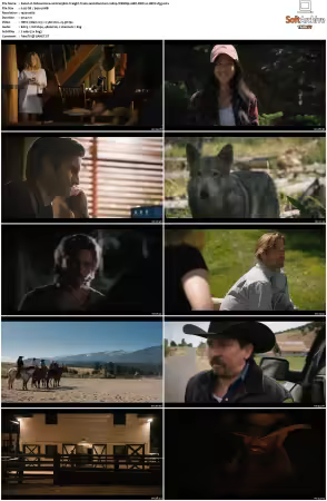 Yellowstone S01 S05 1080p WEBRip 10Bit DDP2.0 HEVC-d3g