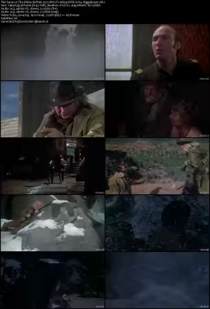 The White Buffalo 1977 MULTI 1080p WEB H264-HiggsBoson