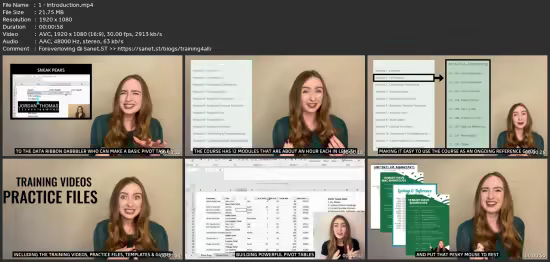 Microsoft Excel Guide: Complete Excel - Beginner To Pro