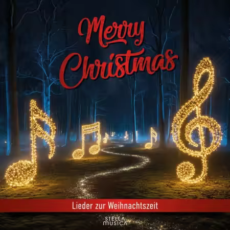 VA - MERRY CHRISTMAS - Lieder zur Weihnachtszeit (2025)