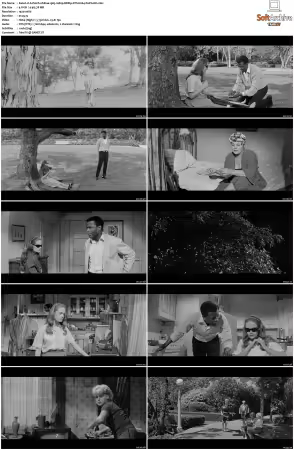 A Patch of Blue 1965 1080p BDRip DTS H264-PoPCoRn