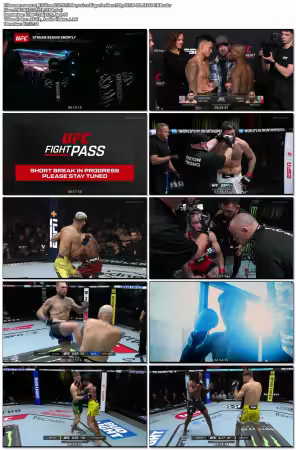 UFC On ESPN 73 Royval Vs Kape Prelims 720p WEB-DL H264-FBB
