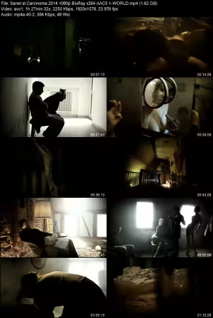 Carcinoma 2014 1080p BluRay x264 AAC 5.1-WORLD