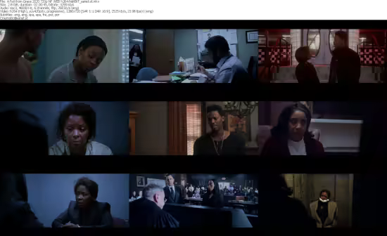 A Fall from Grace 2020 720p NF WEB h264-NoRBiT