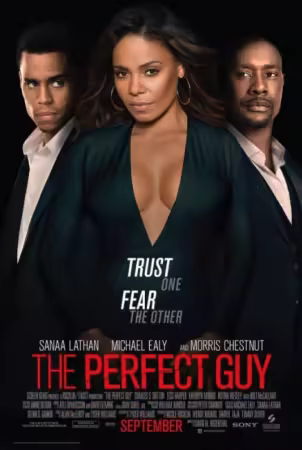 The Perfect Guy 2015 German AC3 DL 1080p BluRay x265-FuN