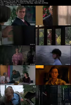 The Crush 1993 1080p BluRay x264-OFT