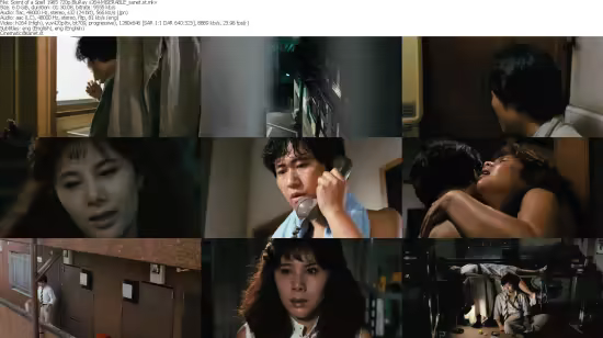 Scent of a Spell 1985 720p BluRay x264-MiSERABLE