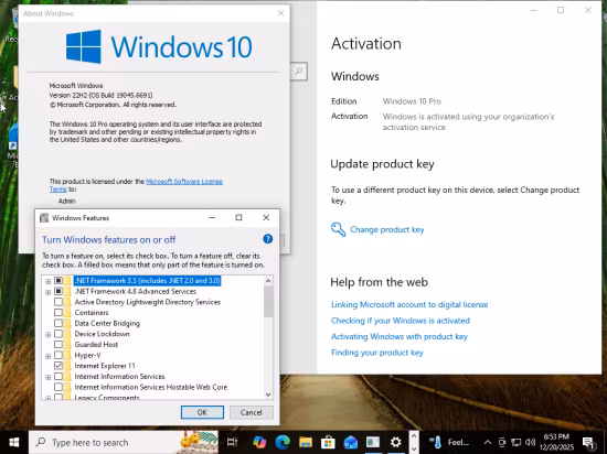 Windows 10 Pro 22H2 build 19045.6691 With Office 2024 Pro Plus Multilingual Preactivated November 2025