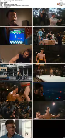 Bloodsport 1988 2160P DV HDR UHD BLURAY X265-WATCHABLE