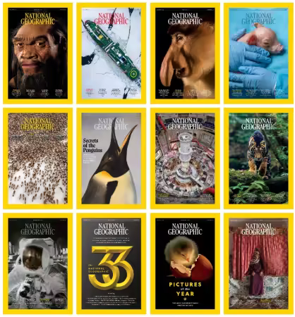 National Geographic UK - Full Year 2025 Collection