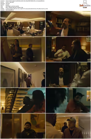 Atlanta S03 1080p DSNP WEB-DL DDP5 1 H264-playWEB