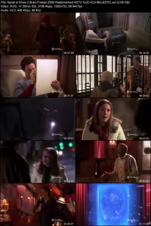 Snow 2 Brain Freeze 2008 Watermarked HDTV XviD AC3-MAJESTiC
