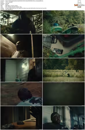 Atlanta S04 1080p DSNP WEB-DL DDP5.1 H264-playWEB