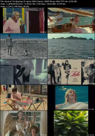 The Beaches Of Agnes 2008 Criterion 1080P Bluray X264-TNT
