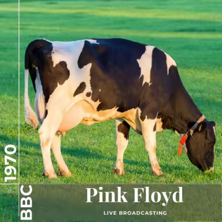Pink Floyd – Live at BBC 1970 (2023)