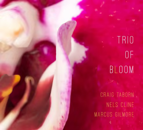 Nels Cline, Craig Taborn, Marcus Gilmore - Trio of Bloom (2025)[CD-Rip]