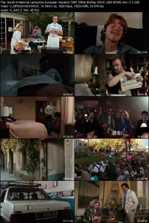 National Lampoons European Vacation 1985 1080p BluRay HEVC x265 BONE