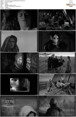 Anchoress 1993 1080p BDRip DTS H264-PoPCoRn