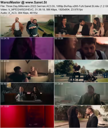 Three Day Millionaire 2022 German AC3 DL 1080p BluRay x265-FuN