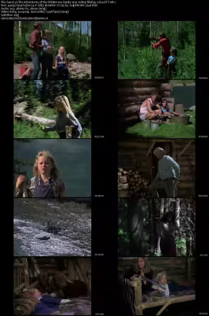 The Adventures of the Wilderness Family 1975 1080p BluRay x264-OFT
