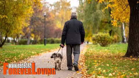 30-Day Calm Walking Challenge (Dog Training)