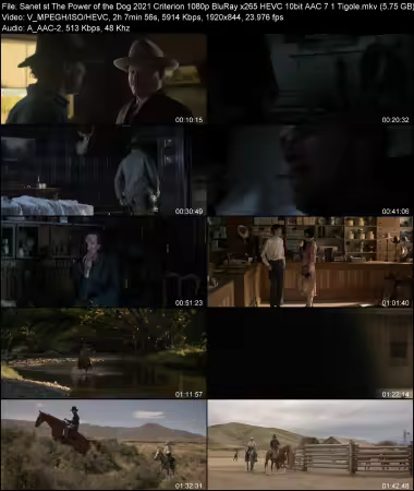The Power of the Dog 2021 Criterion 1080p BluRay x265 HEVC 10bit AAC 7.1 Tigole