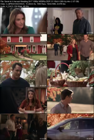 A Harvest Wedding 2017 1080p WEBRip DDP 2.0 10bit H265-iVy