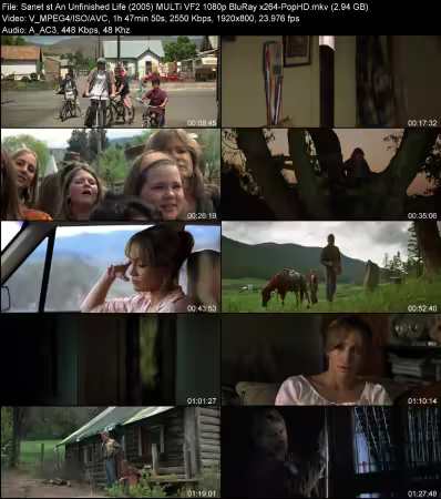 An Unfinished Life 2005 MULTi VF2 1080p BluRay x264-PopHD