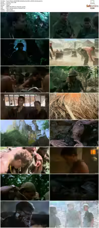 Platoon 1986 PROPER UHD BluRay 2160p DDP 5.1 DV HDR x265-hallowed