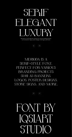 EE - Mechooa - Modern Elegant Font 454Z24M