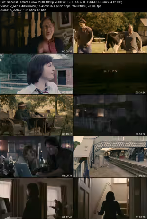 Tamara Drewe 2010 1080p MUBI WEB-DL AAC 2.0 H264-GPRS