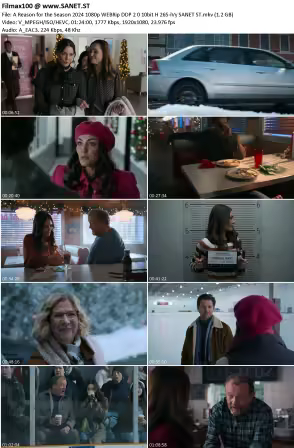 A Reason for the Season 2024 1080p WEBRip DDP 2 0 10bit H 265-iVy