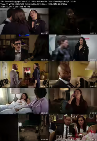 Baggage Claim 2013 1080p BluRay x264 DUAL-GeneMige