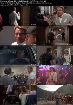 Twins 1988 1080p BluRay x265-YAWNTiC