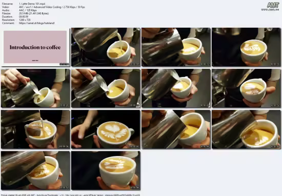 Step to Coffee Pro/ Start your barista journey