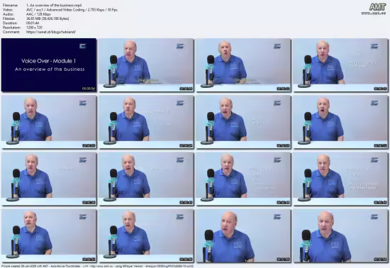 Voice Over: from Learning to Earning