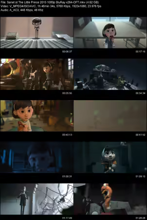 The Little Prince 2015 1080p BluRay x264-OFT