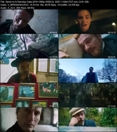 At Eternitys Gate 2018 1080p WEB-DL DD 5.1 H264-FGT