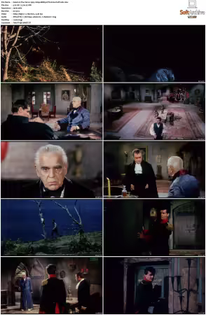 The Terror 1963 1080p BDRip DTS H264-PoPCoRn