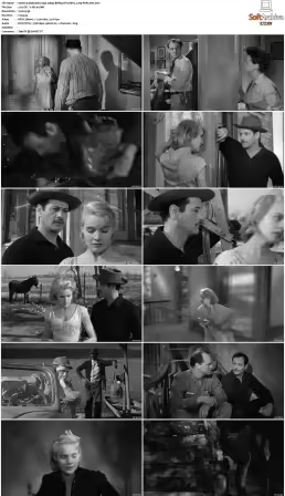 Baby Doll 1956 1080p BDRip DTS HEVC x265-PoPCoRn