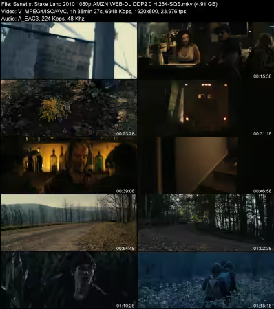 Stake Land 2010 1080p AMZN WEB-DL DDP 2.0 H264-SQS