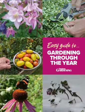 Amateur Gardening Easy Guide To - Gardening Through The Year, 2025