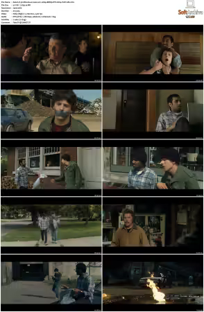 30 Minutes or Less 2011 1080p BDRip DTS H264-PoPCoRn