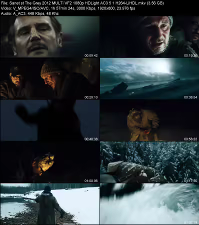The Grey 2012 MULTi VF2 1080p HDLight AC3 5.1 H264-LiHDL