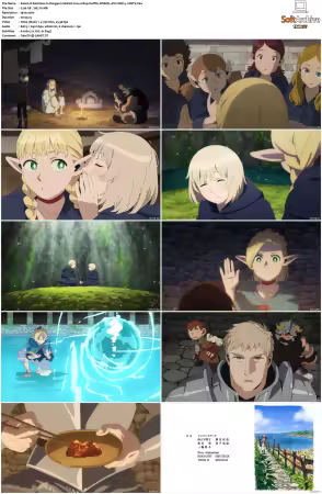 Delicious in Dungeon S01 1080p Netflix WEB-DL x264 DDP 5.1-DBTV